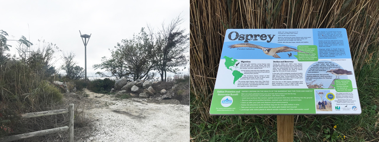 OspreyPlatformSign